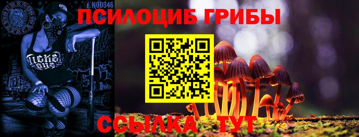 Галлюциногенные грибы прущие грибы Кушва